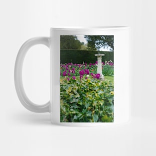 Country garden Mug